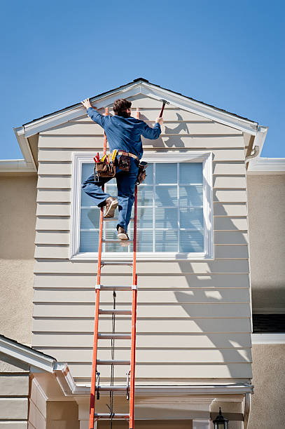 Best Yard Waste Removal  in Belle Isle, FL