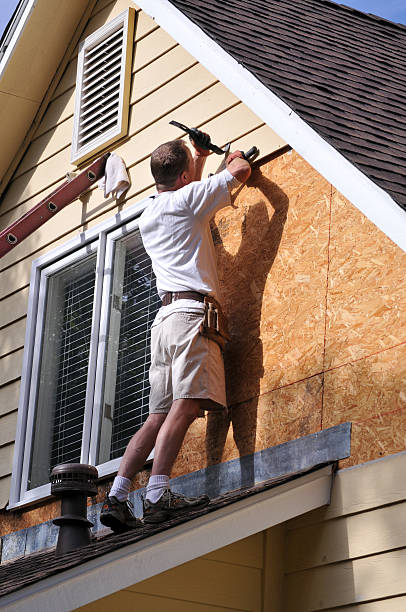Best Furniture Removal  in Belle Isle, FL